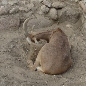 �������� �����