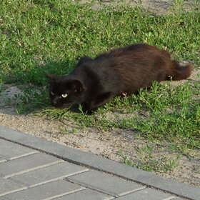 �� �����